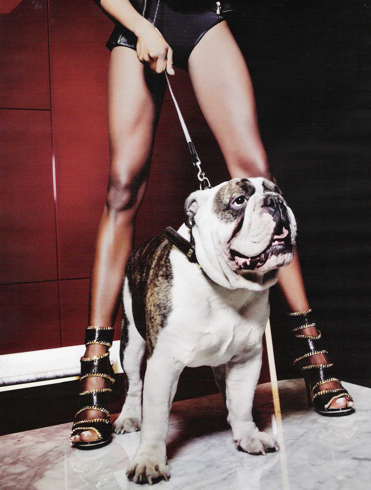 doggy style blog