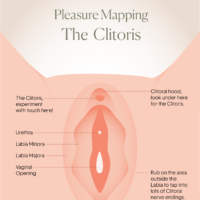 Diagram of the Clitoris