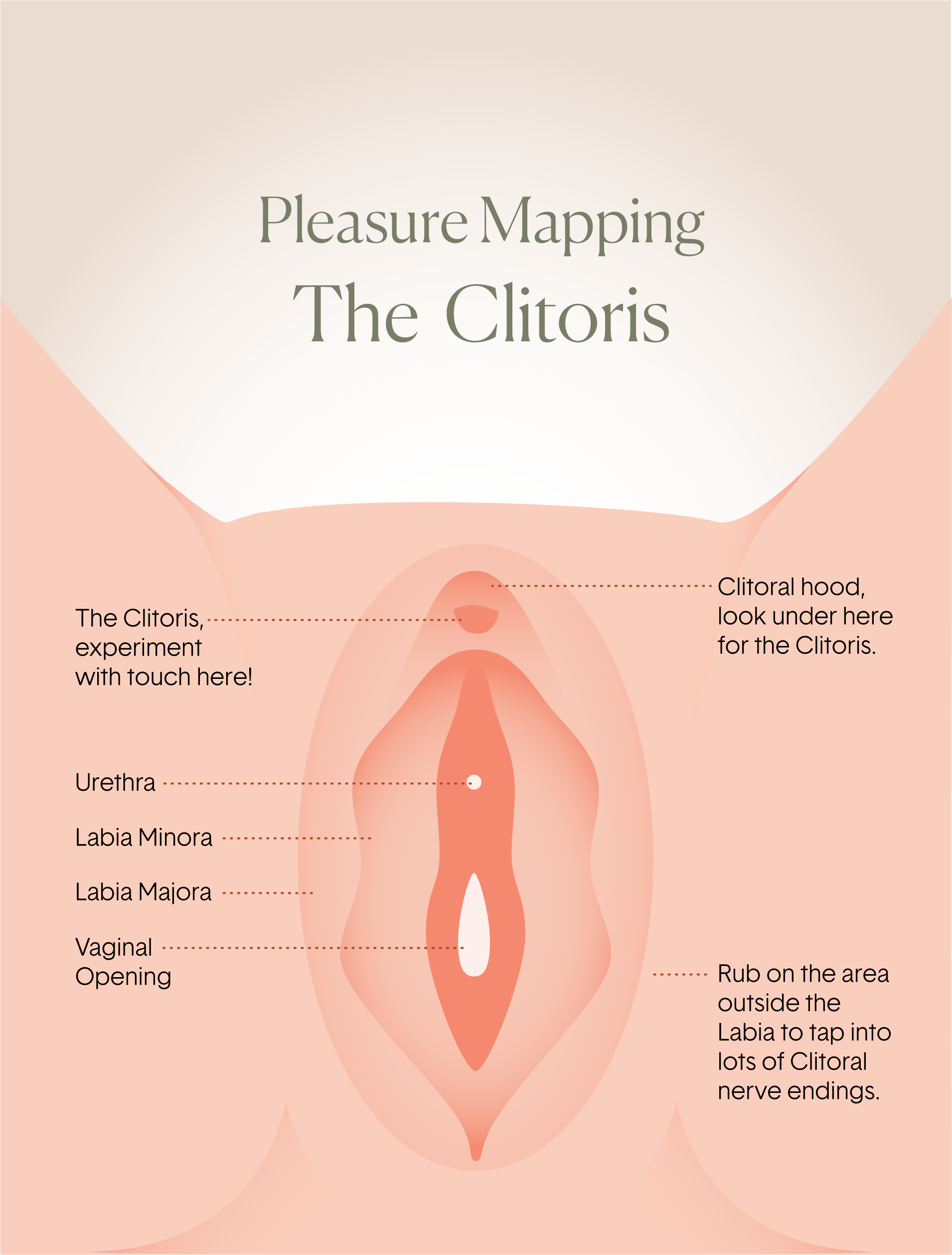 Where is the Clitoris? image