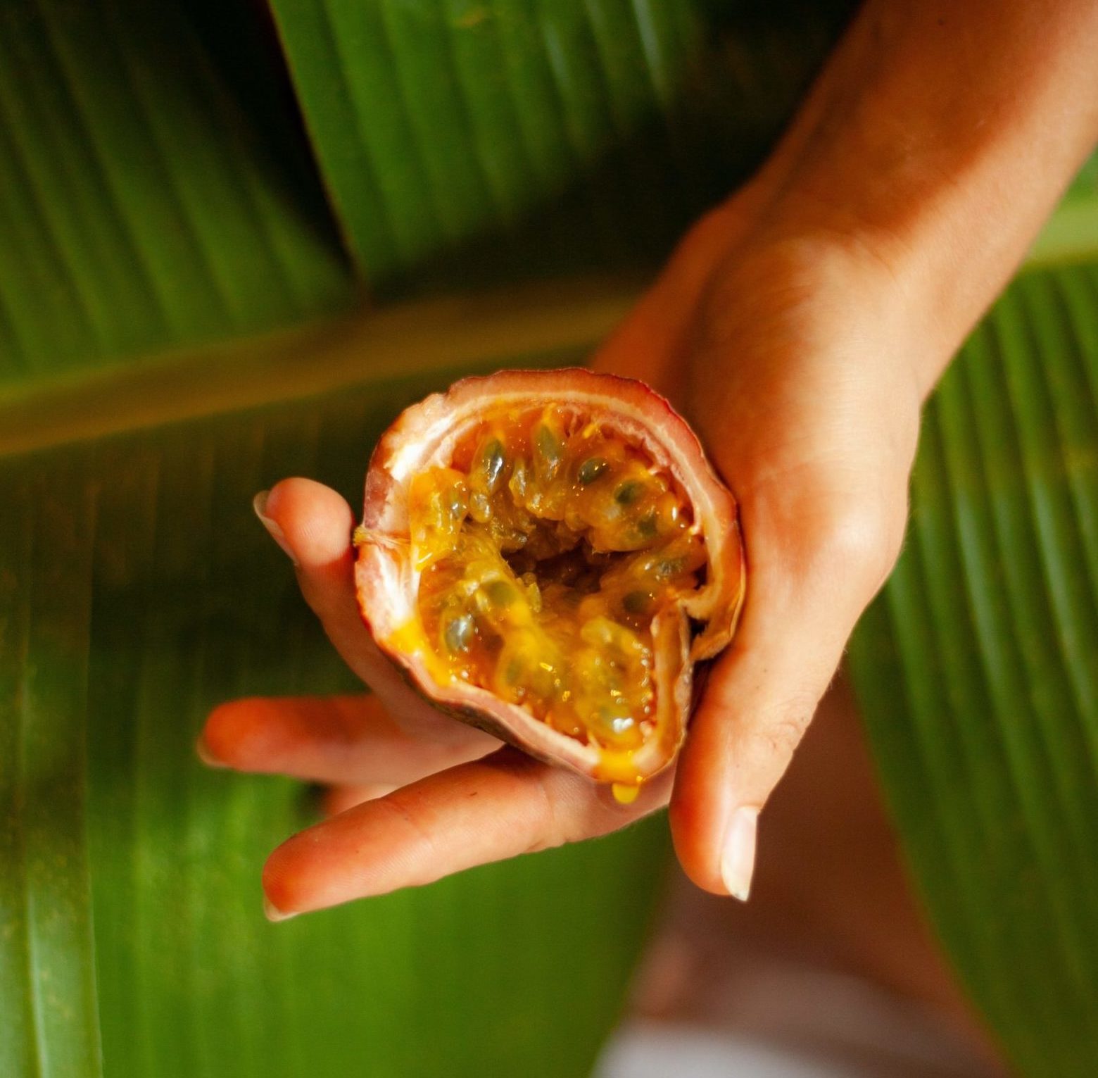 Clitoral shaped passion fruit half in woman's hand