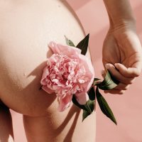 Crop nude female touching buttock with delicate flower against pink background
