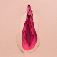 Vagina illustration made with layered paper cut on light pink background