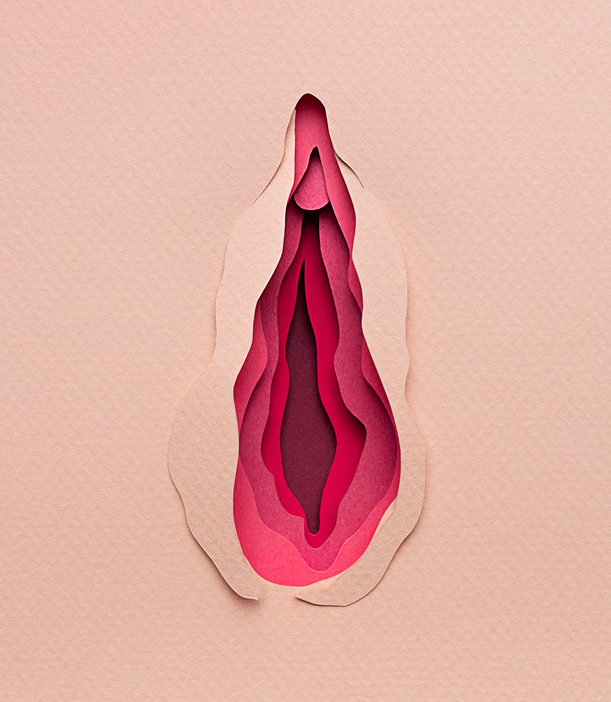 Vagina illustration made with layered paper cut on light pink background