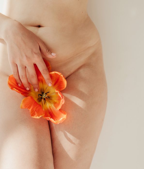 Unrecognizable naked lady touching fresh flower in genital area between legs against gray wall