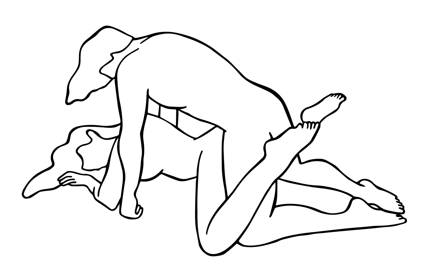 Illustration of flat iron sex position