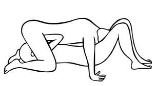 illustration of the 69 sex position