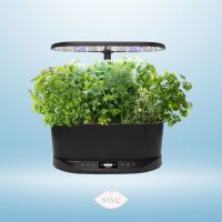 Grow Your Own Garden Set from Amazon prime on gradient light blue background with SWE lips logo in bottom center