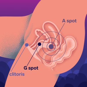 Diagram of a-spot